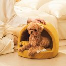 강아지집 이미지