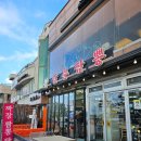 삼춘짬뽕 | [대천/보령] 강릉 안가도 되는 대천해수욕장 짬뽕 맛집 삼춘짬뽕 내돈내산 후기