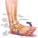 황금나무한의원 이미지