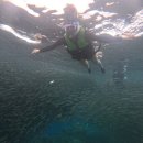 아스가드 | 8월말의 보홀 여행🧜‍♀️🐠1
