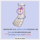 문산해나무한의원 이미지