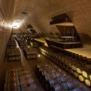 안티노리 이미지