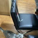 퍼피즌동물병원 이미지