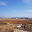 안미장리 이미지