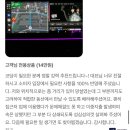 멘토LED조명 | [공지] BMW 코딩 가격과 기능 총정리 카플레이부터 차종별 인기 코딩까지 7월에도 국내 유일...