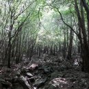 청계동계곡 이미지