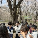 경희대 부부 다원태권도장 | 영천동 태권도 추억으로 자라는 다원 둥이들
