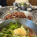 제주오두껍 이미지