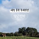 나동민박 네이버블로그