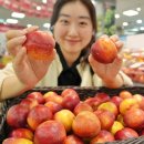 천도슈퍼 이미지