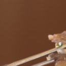 나주곰탕(1) 이미지