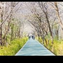 제이엔휘트니스