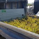 석교농장 이미지