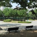 궁골어린이공원 이미지