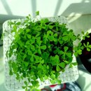 크로버유통 이미지