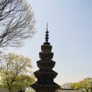 칠곡 송림사 오층전탑 이미지