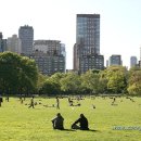 센트럴파크 12 이미지