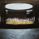 호텔빛날빈 | 이타미준 작품 제주 핀크스 포도호텔에서 머무른 2박3일 건축 예술+온천+겨울 여행