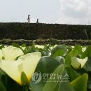 토성민속마을 이미지