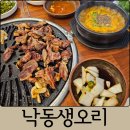 낙동생오리송촌점 | 대전 송촌동 맛집 낙동생오리 송촌점 오리로스, 오리뚝배기 후기 회식장소 추천