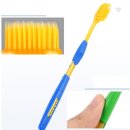 클로버덴탈 이미지