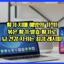 치매예방을 위한 뇌건강 레시피 | 황기 치매 예방의 기적! 볶은 황기·발효 황기로 뇌 건강 지키는 최강 레시피