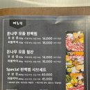 편백돈나무