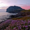 제주이글루 이미지