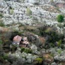 왕촌농원 이미지