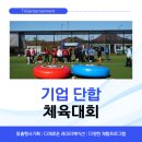 기업 단합 체육대회 추천｜팀워크와 조직문화를 살리는 태그엔터테인먼트 진행 후기