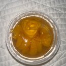 경희대학교 기숙사&경희중,고등학교 | 내 끝나버린 밤의 노래여…