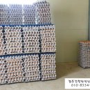 계두농장 이미지