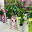 마디웃는연합의원 이미지