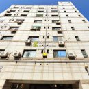 팔레스텔 이미지