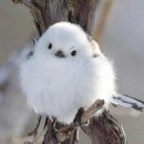 서라벌유치원 이미지