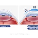 권해드림