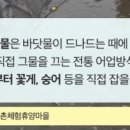 둔장어촌체험휴양마을 이미지