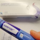 쥴릭파마코리아(주) | 위고비 가격, 효과, 부작용 총정리｜삭센다·오젬픽과 비교하면?
