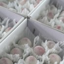 외서농장 이미지