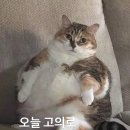 과자방 - 7472 | 과자방