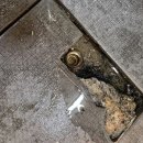 꼭지식당 이미지