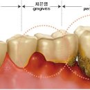 닥터정 동물병원 이미지