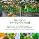 디자인하리