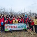 음성군여성단체협의회 이미지