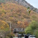 구만산펜션 | 경남 밀양 자연 볼더링 | 구만산 볼더링