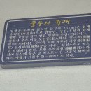 뉴영광