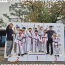 경희대 꿈나무 태권도 이미지