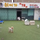 울산유치원 이미지