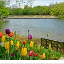 서울숲4 이미지