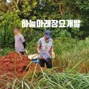 논산장묘